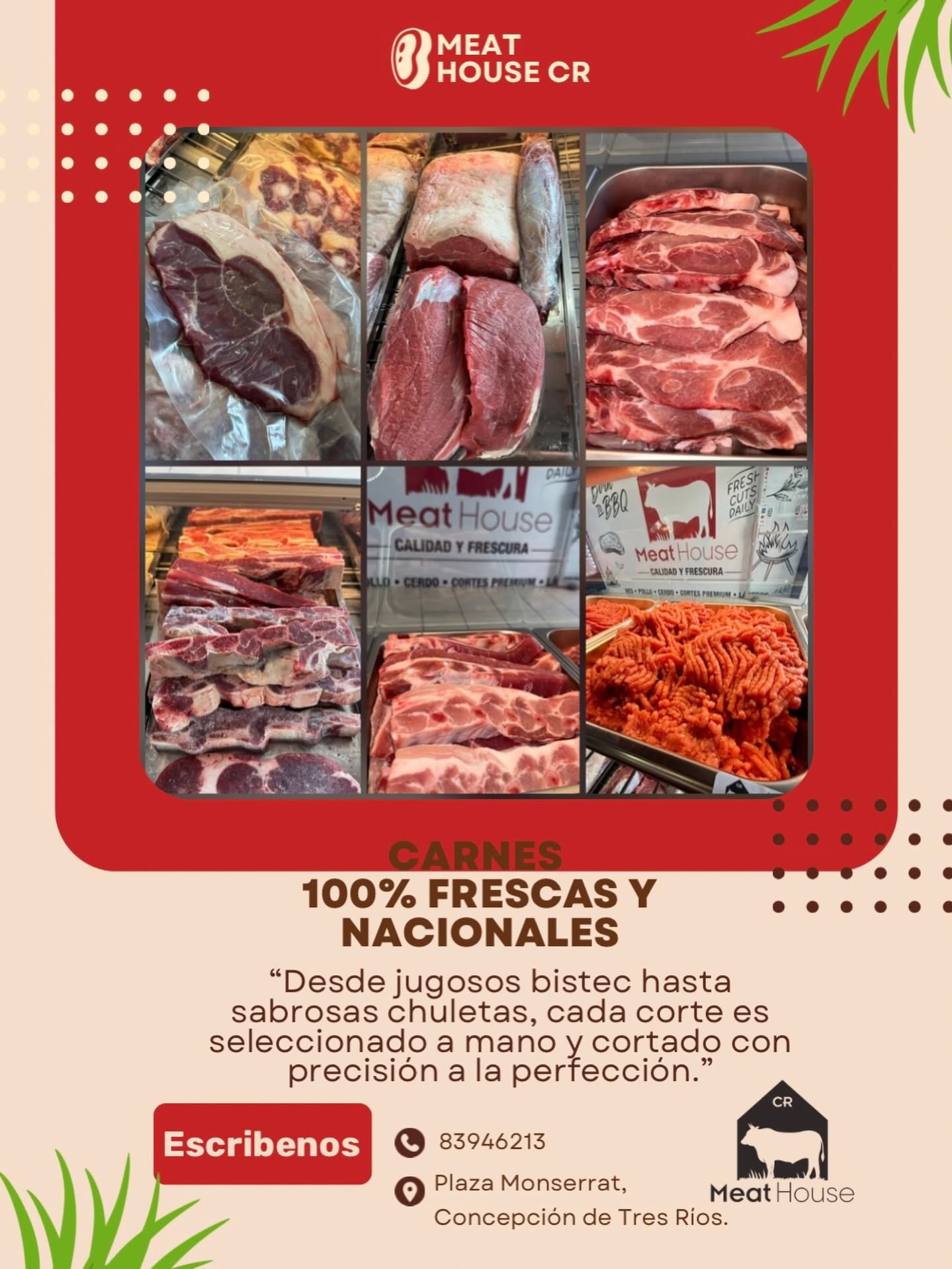 Carne molida especial de res